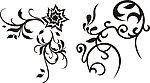 花纹