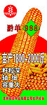 黔单988
