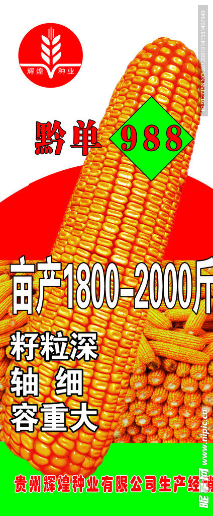 黔单988