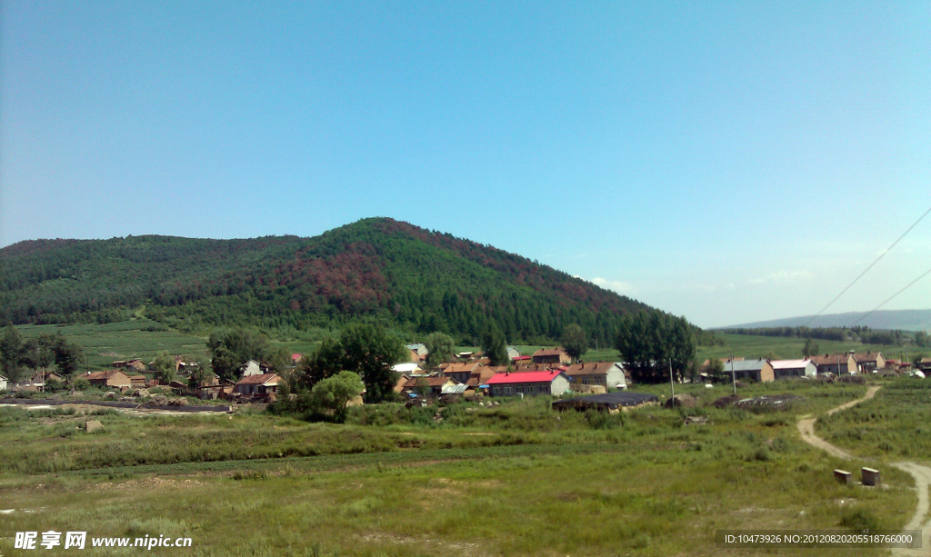 靠林村图