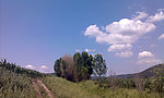 田园风景图