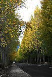 林芝道路