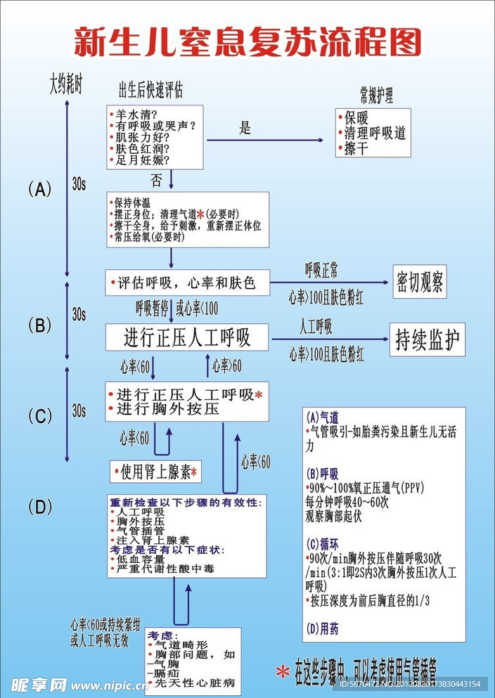 新生儿窒息复苏流程图