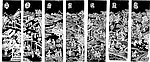 矢量 古典 花纹