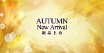 秋季AUTUMN 新品上市