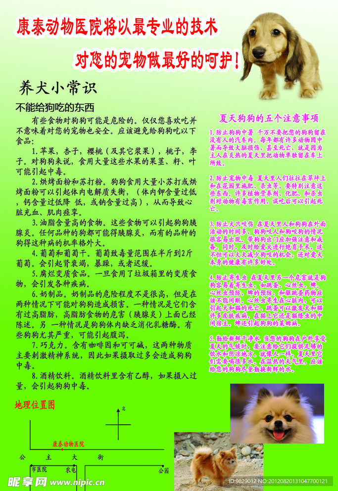 养犬小常识
