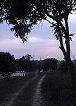 夕阳西下