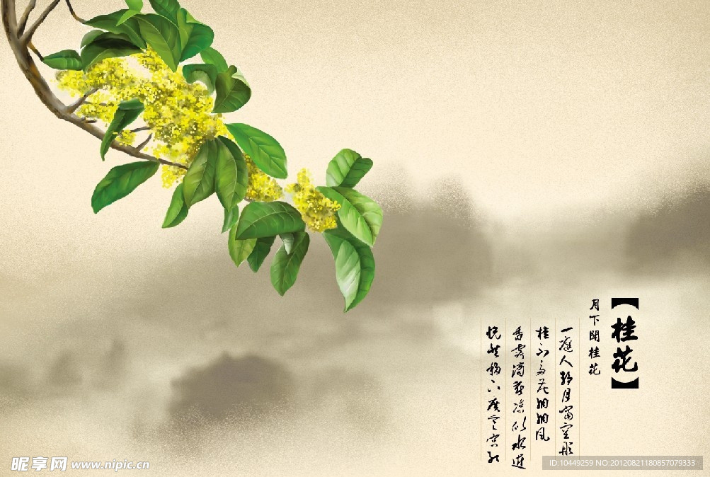 桂花