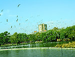 翠湖