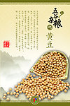 五谷杂粮之黄豆介绍