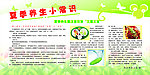 夏季养生小常识