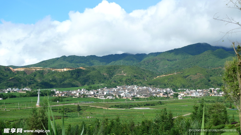 绿野山村