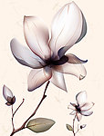 移门图案 简易花