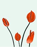 四朵红花