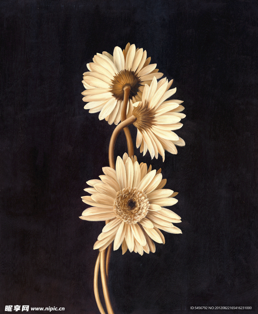菊花油画