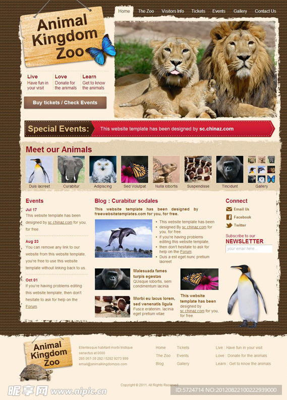 动物园网站模板