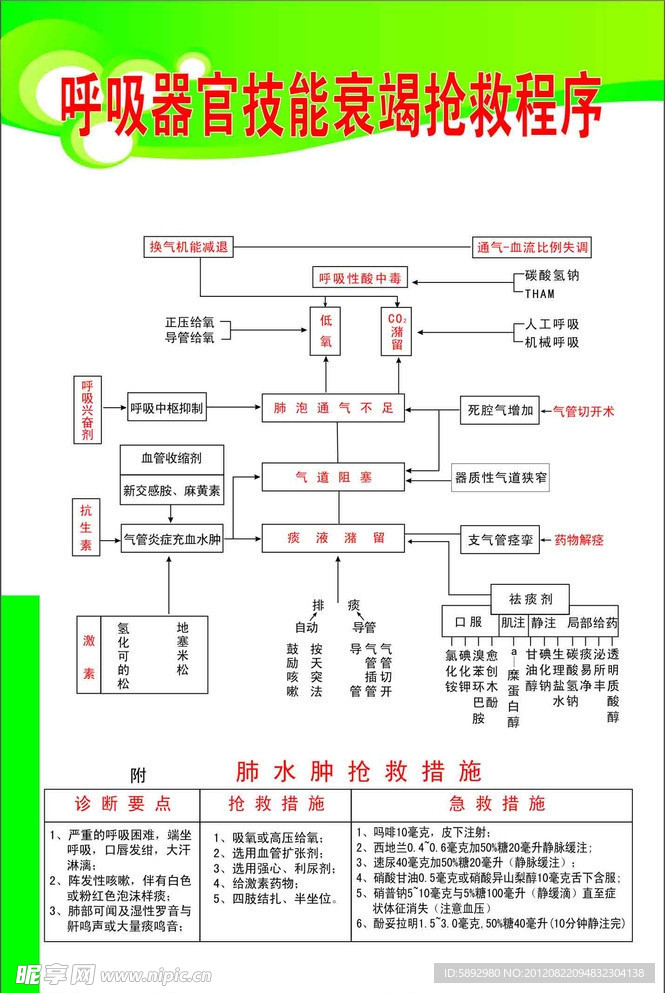 呼吸器官技能衰竭抢救程序