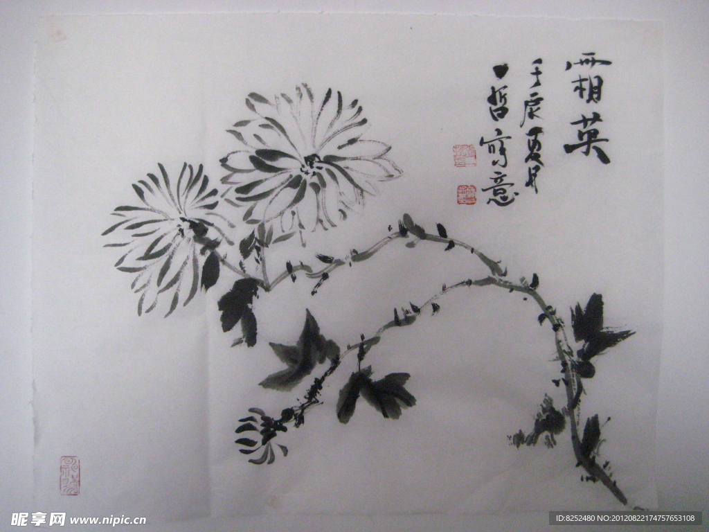 菊花 水墨 国画