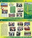 10万亩赶水草蔸萝卜