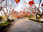 春节