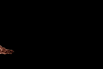 火焰