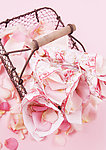 玫瑰花