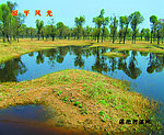 滹沱河景观