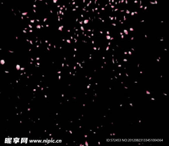 花瓣（影视素材）