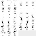 花纹 装饰 花边 素材 ps笔刷
