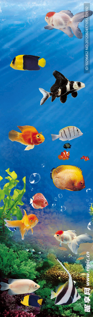海洋世界