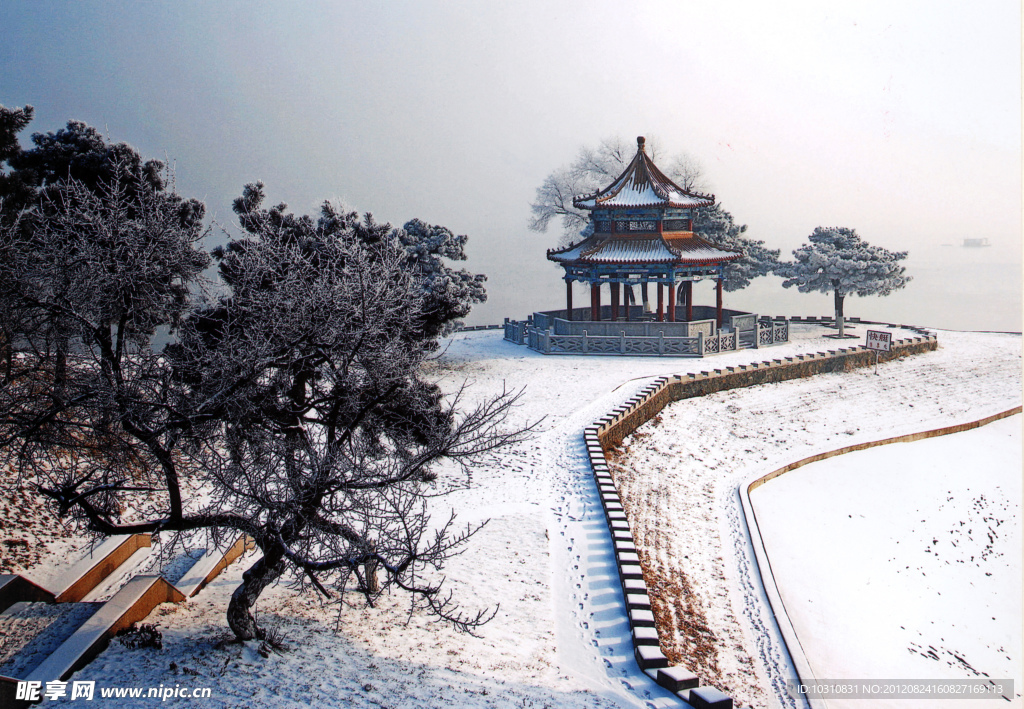 迎松抱雪