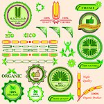 绿色环保标签