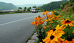山里的路