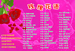 玫瑰花语