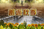邂逅秋季