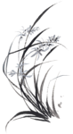 水墨兰花