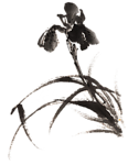 水墨兰花