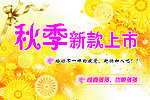 秋季 新款上市