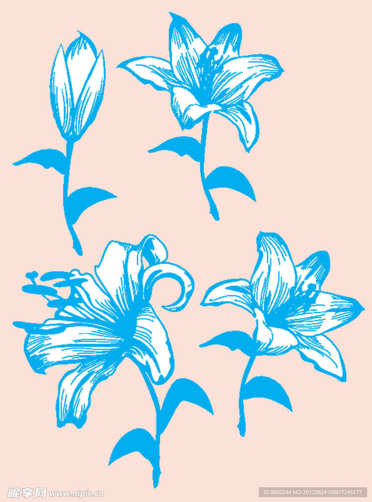 百合