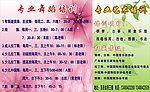 舞蹈培训图片
