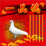 鸽子海报