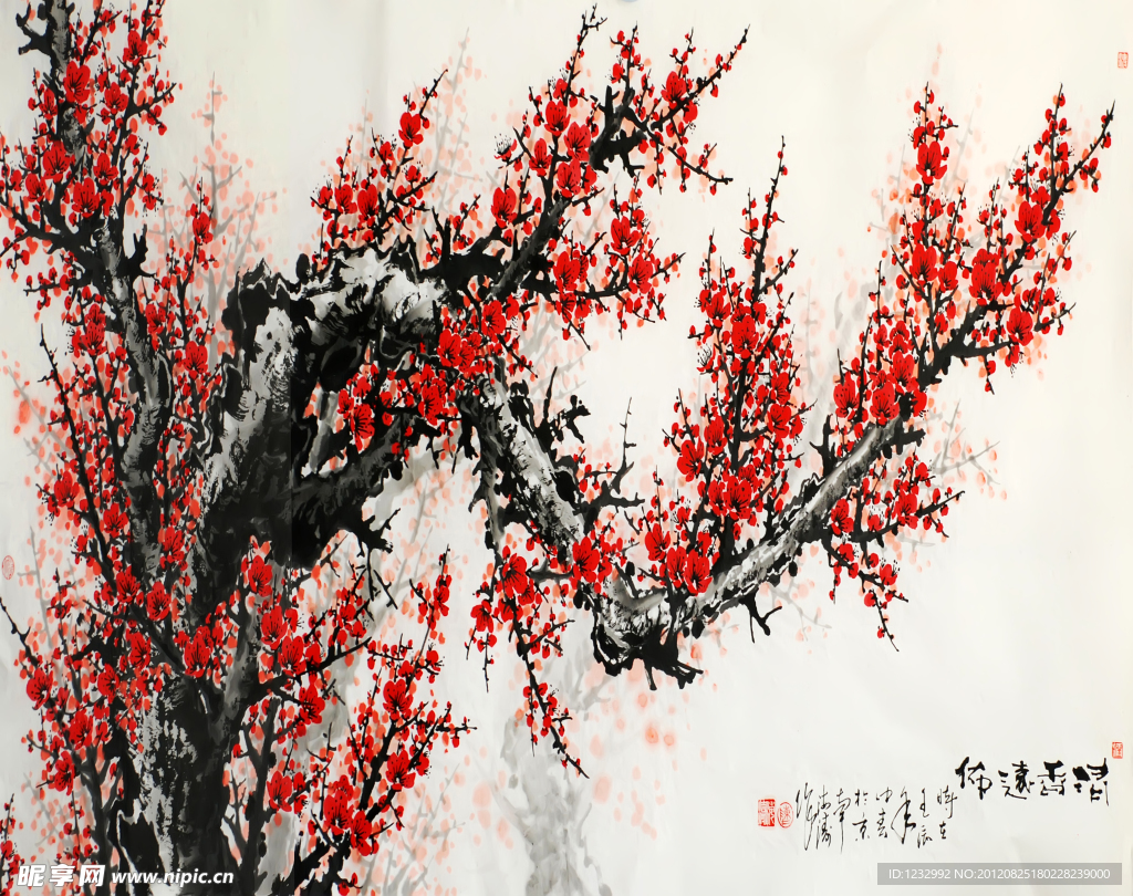 梅花