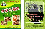 跳跳蛙锅泡凤尾虾开业酬宾宣传单