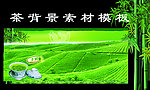 绿茶背景素材模板