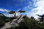 华山西峰
