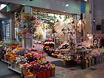 日本大阪的花房