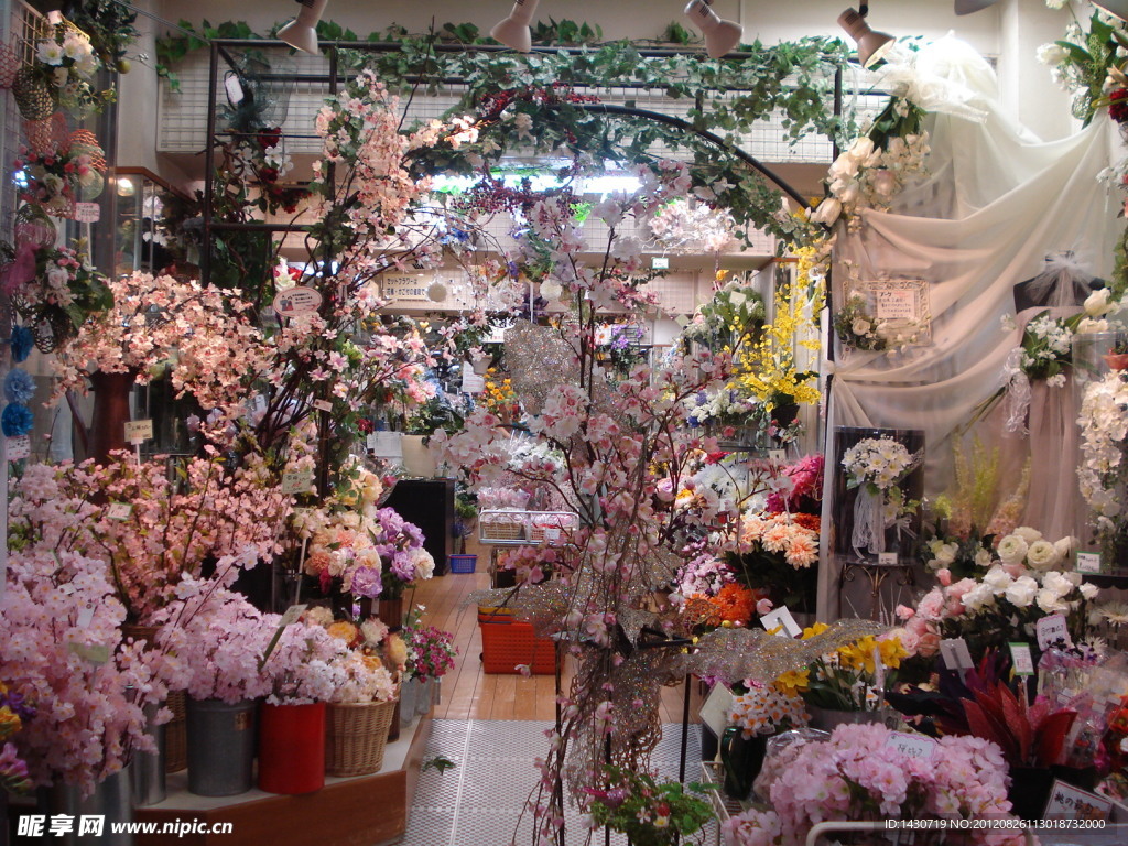 日本大阪的花房