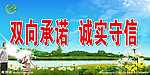 诚信计生宣传标语