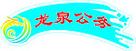 龙泉公务