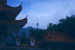 仙湖远眺 深圳